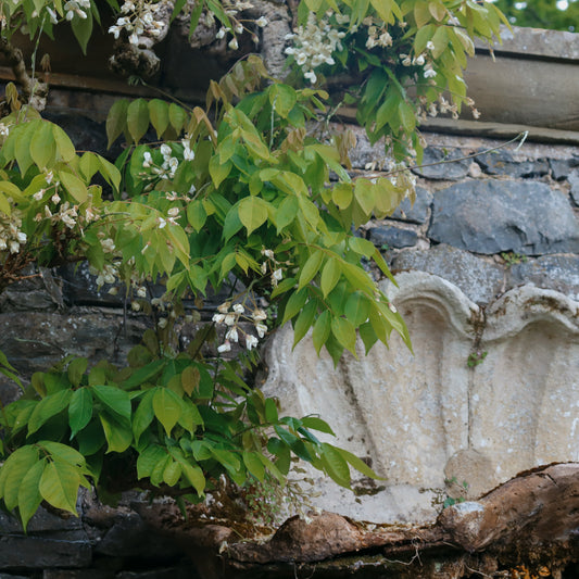 Old Fountain